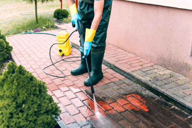 Best Pool Deck Cleaning  in Fayette, MS